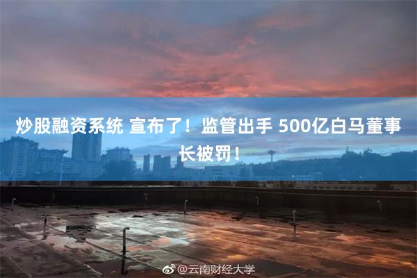 炒股融资系统 宣布了！监管出手 500亿白马董事长被罚！