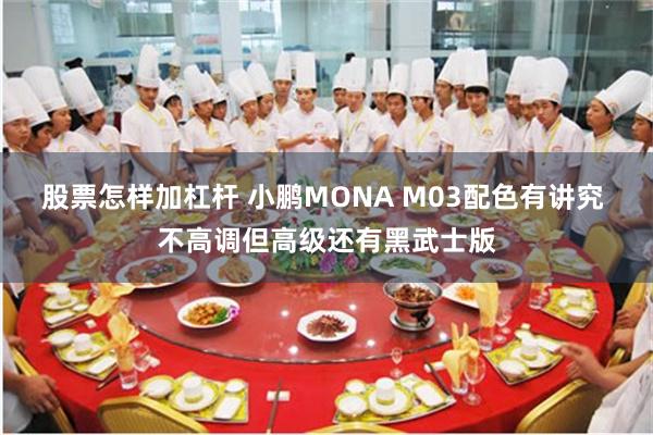 股票怎样加杠杆 小鹏MONA M03配色有讲究 不高调但高级还有黑武士版