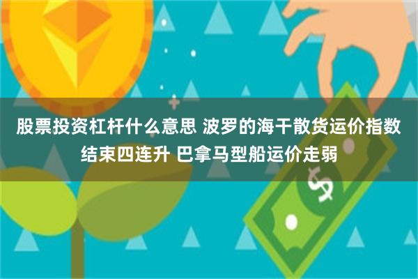 股票投资杠杆什么意思 波罗的海干散货运价指数结束四连升 巴拿马型船运价走弱