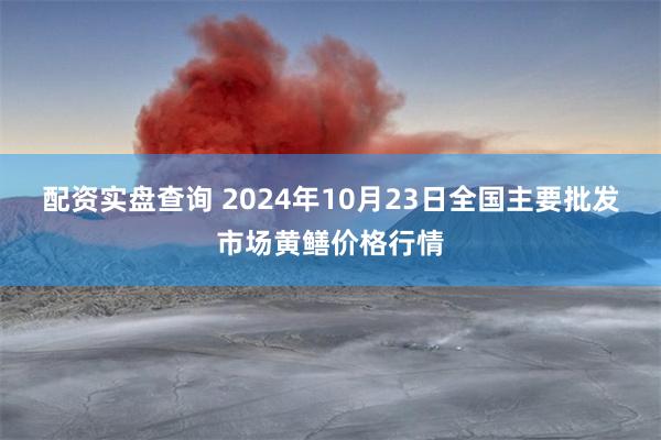 配资实盘查询 2024年10月23日全国主要批发市场黄鳝价格行情