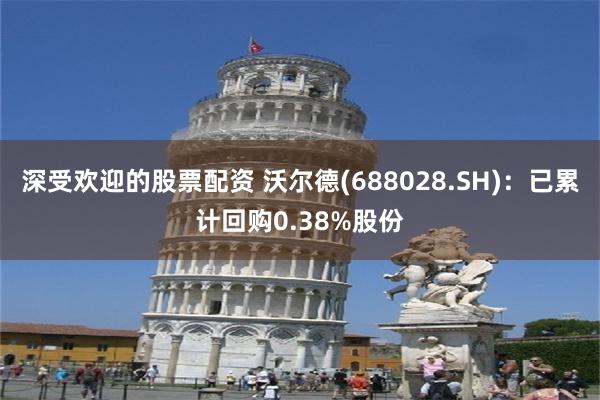 深受欢迎的股票配资 沃尔德(688028.SH)：已累计回购0.38%股份