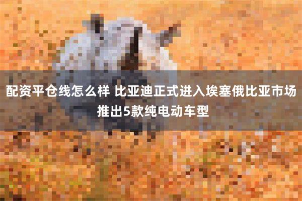 配资平仓线怎么样 比亚迪正式进入埃塞俄比亚市场 推出5款纯电动车型