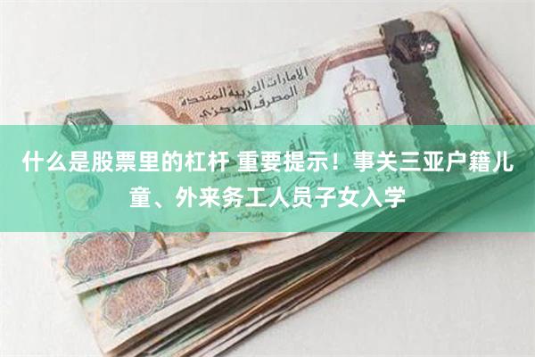 什么是股票里的杠杆 重要提示！事关三亚户籍儿童、外来务工人员子女入学