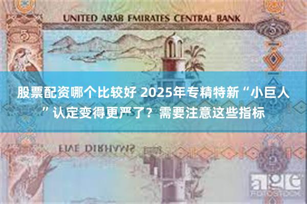 股票配资哪个比较好 2025年专精特新“小巨人”认定变得更严了？需要注意这些指标