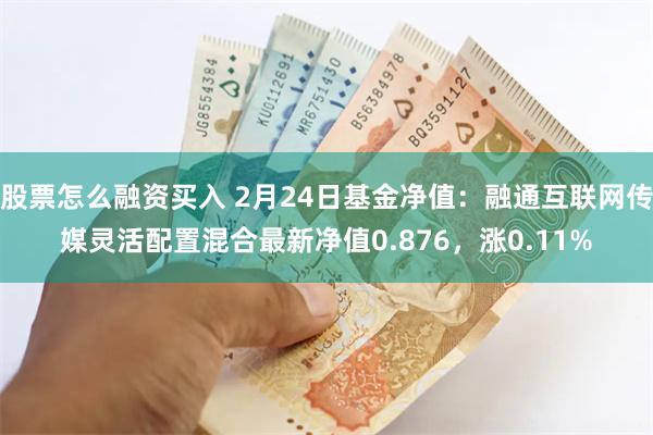 股票怎么融资买入 2月24日基金净值：融通互联网传媒灵活配置混合最新净值0.876，涨0.11%